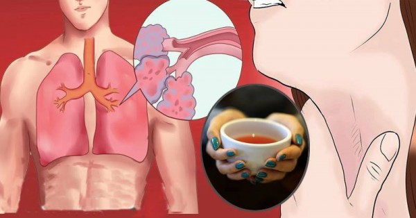 Чай, который очистит ваши легкие от слизи и токсинов