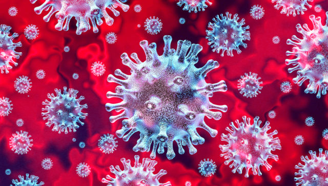 коронавирус под микроскопом